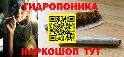 стафф Абакан