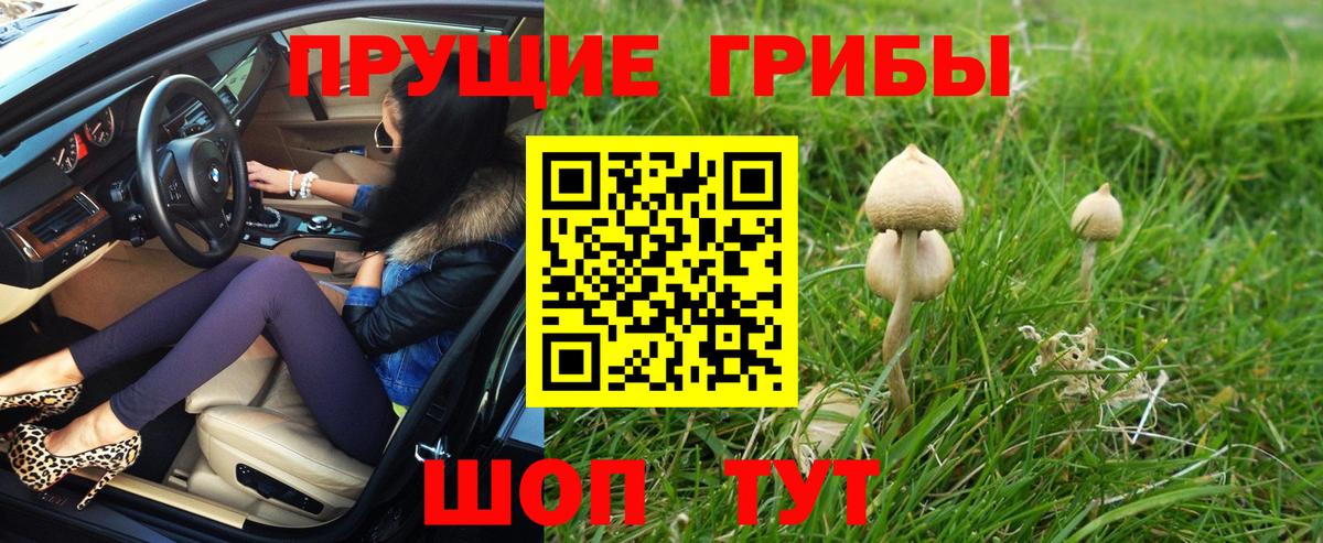 Альметьевск  Галлюциногенные грибы MAGIC MUSHROOMS  Псилоцибиновые грибы ЛСД  Вход с VPN 